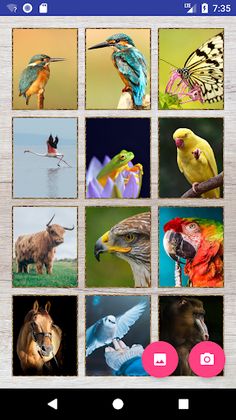 Puzzle - use your own images o - Screenshot 1