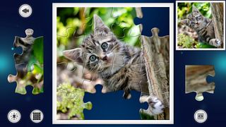 IMAGEine Premium - Screenshot 2