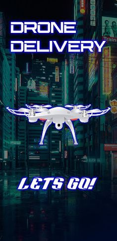 Drone Delivery : 3D Adventure - Screenshot 2