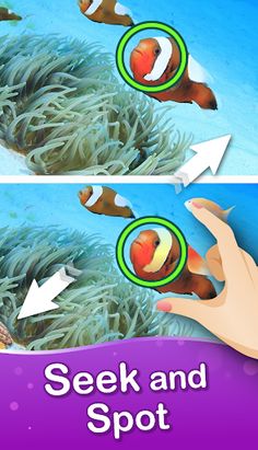 Differences: Find Differences - Screenshot 2