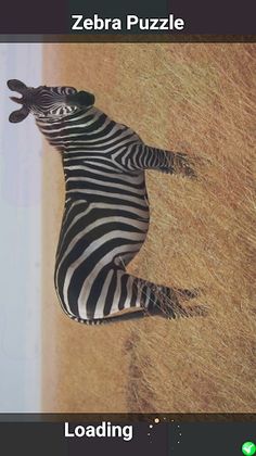 Zebra Puzzle - Screenshot 1