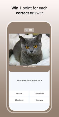 Quiz Cat - Guess the Cat Breed - Screenshot 2