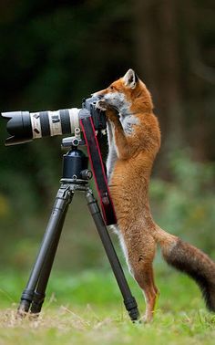 Variety Puzzle - Screenshot 1