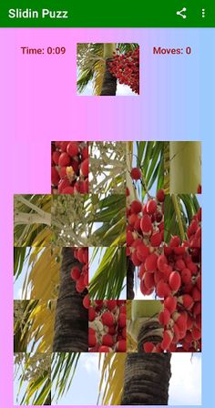 Slidin Puzz Combo - Screenshot 4