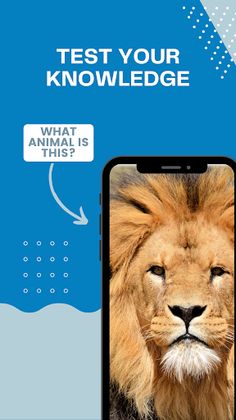 photo quiz guess the image - Screenshot 2