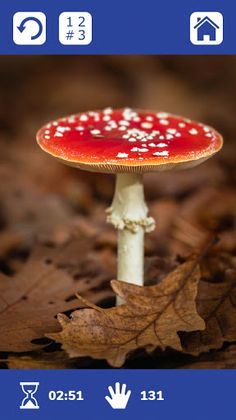 Slide It! Sliding Puzzle Game - Screenshot 3