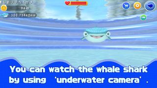 Whale shark in my room - Screenshot 3