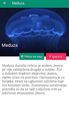 Lov na Blago - Screenshot 4