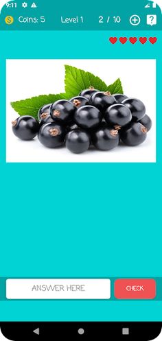 Guess the Fruit Name - Screenshot 3
