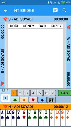 NT Bridge - Screenshot 1