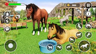 Wild Horse Family Life Game - Screenshot 3