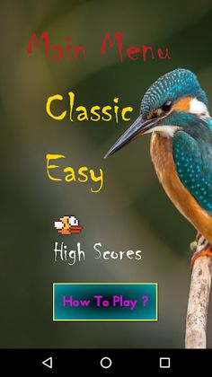 Brisky Bird - Screenshot 1