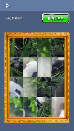 Homescape Puzzle - Panda Jigsa - Screenshot 4