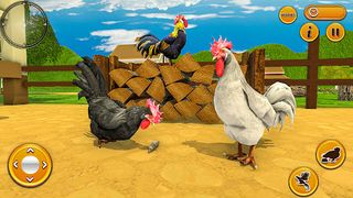Talking Rooster: Chicken Games - Screenshot 2