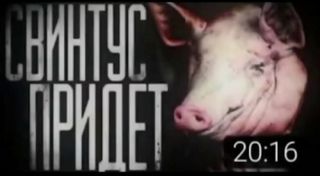 Свинтус придёт - Screenshot 1