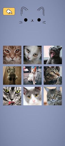 Cat puzzle - Screenshot 1