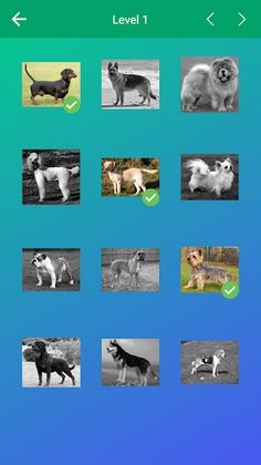 Dog Quiz: Guess the Breed — Ga - Screenshot 3