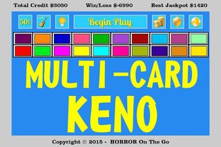Multi-Card Keno - Screenshot 2