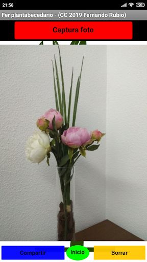 Fer_abecedario - Screenshot 2