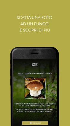 iMico - Screenshot 3