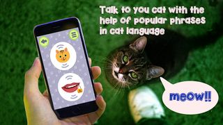 Cat Language Translator - Meow - Screenshot 2