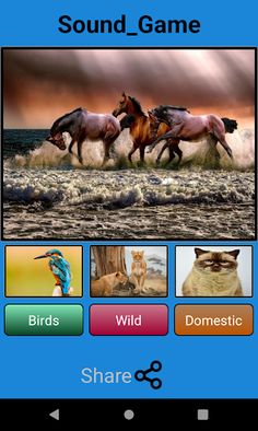 Sound_Game - Screenshot 2