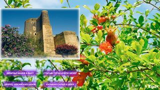 Карабах - Screenshot 3