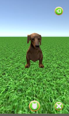 Puppy GO - Screenshot 3