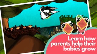 Hungry Birds - Screenshot 1