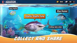 Fishing GoGo - Screenshot 2