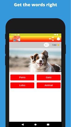 Spanish Words Quiz - Screenshot 2