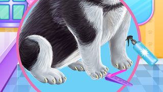 Husky Puppy Spa Salon - Screenshot 3