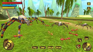 Wild Spider Tarantula Insect - Screenshot 3