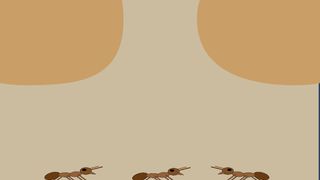 Fábulas Científicas Digitais - Screenshot 2