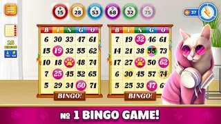 Pet Bingo: Bingo Game 2022 - Screenshot 1