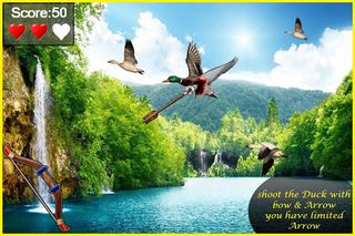 Bird Hunting - Screenshot 1