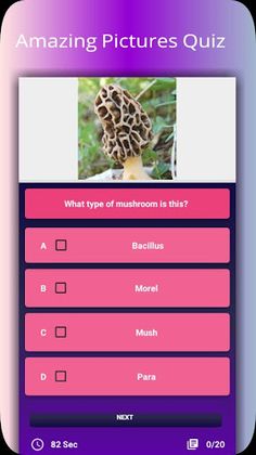 Quiz game - World of quiz 2020 - Screenshot 1