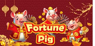 Lucky golden pig wealth Darts - Screenshot 1