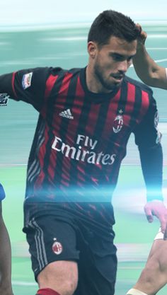 Beebet Online Victory - Screenshot 2