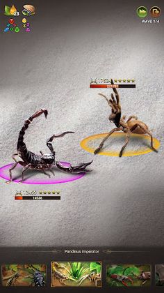 Insects Puzzles - Screenshot 1