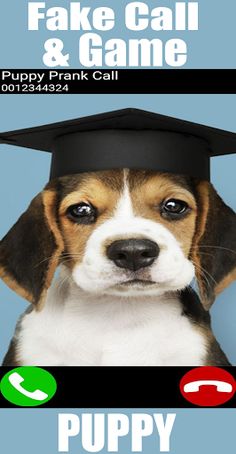 Fake Call Puppy Game - Screenshot 3