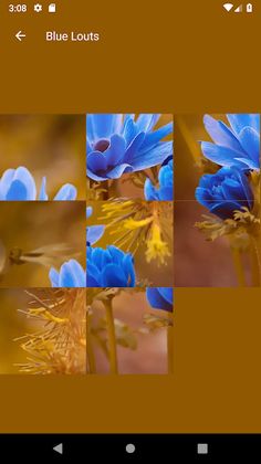 Photo Puzzle HD - Screenshot 4