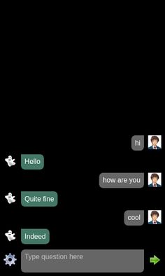 Ghost chat bot - Screenshot 2