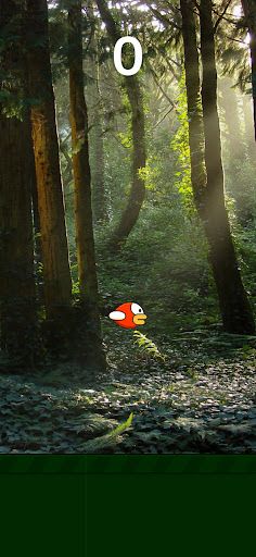 Jungle Bird - Screenshot 1