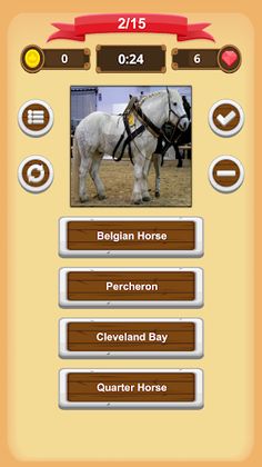 Horse Quiz - Screenshot 3