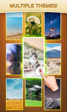 Pattern Blocks - Screenshot 4