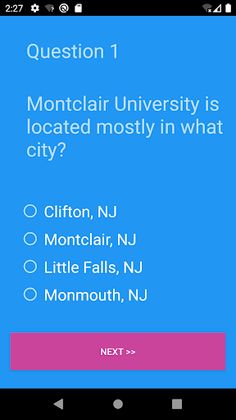 Quiz Game - Screenshot 2