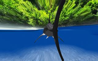 Inside Shark 3D Edition 2015 - Screenshot 3