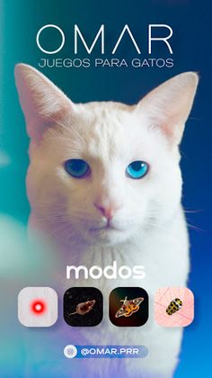 Omar Juegos Para Gatos - Screenshot 1