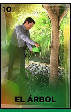 Lotería Maderito - Screenshot 3